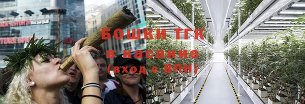 прущая мука Гусиноозёрск