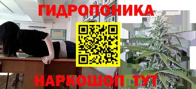 мдпв Краснодар