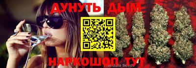 крисы Краснознаменск