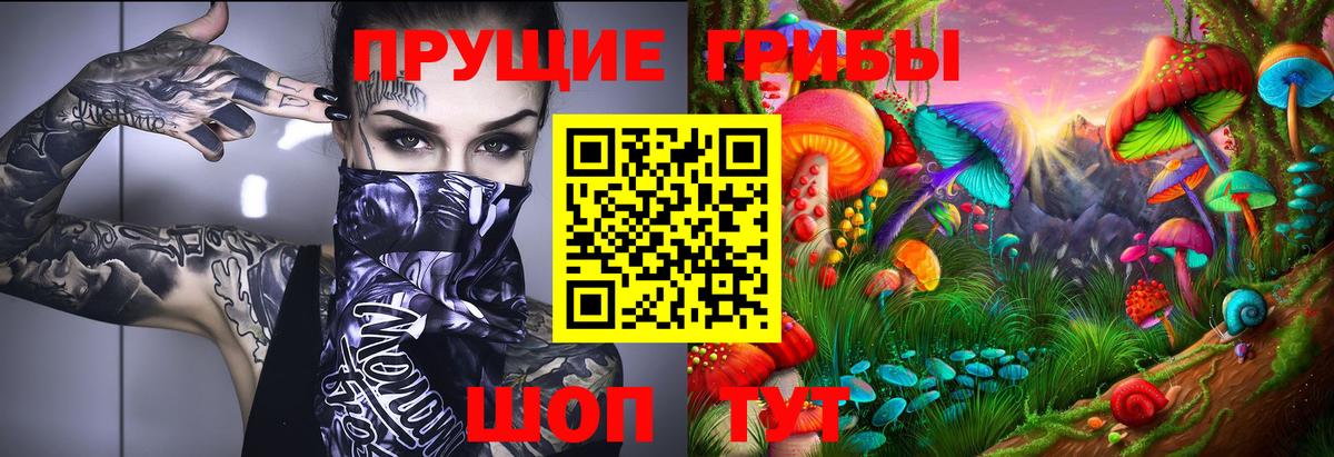 Псилоцибиновые грибы MAGIC MUSHROOMS  купить наркоту  Зеленодольск  Галлюциногенные грибы Cubensis  Вход с VPN 
