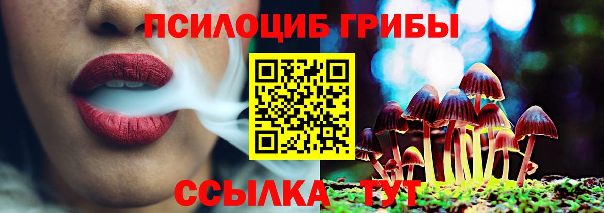 Псилоцибиновые грибы Magic Shrooms Зеленодольск